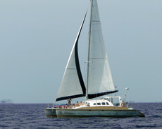 Catamaran Bohemian